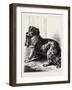 Master's Slippers-null-Framed Giclee Print