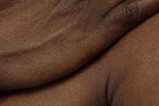 Texture of Human Skin. close up of African-American Male Body-master1305-Photographic Print