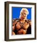 Masters of the Universe-null-Framed Photo