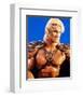 Masters of the Universe-null-Framed Photo