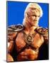 Masters of the Universe-null-Mounted Photo