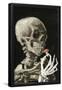 Essential Black