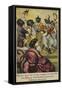 Masters Tortoiseshell Appear as Ethiopian Serenaders-null-Framed Stretched Canvas