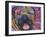 Mastiff Love-Dean Russo-Framed Giclee Print