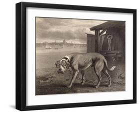 Mastiff-P Reinagle-Framed Art Print