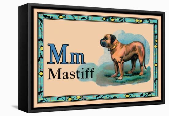 Mastiff-null-Framed Stretched Canvas