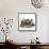 Mastiffs and Puppies-null-Framed Stretched Canvas displayed on a wall