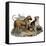 Mastiffs and Puppies-null-Framed Stretched Canvas