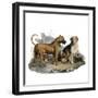 Mastiffs and Puppies-null-Framed Art Print