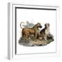 Mastiffs and Puppies-null-Framed Art Print