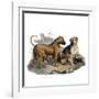 Mastiffs and Puppies-null-Framed Art Print