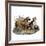 Mastiffs and Puppies-null-Framed Art Print