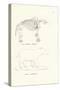 Mastodon, 1824-Karl Joseph Brodtmann-Stretched Canvas