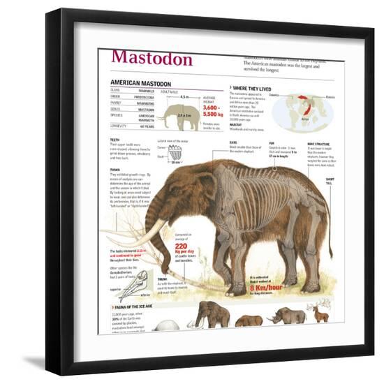 Premium Photographic Print, , large