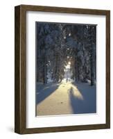 Mat, Palm Leaves, Close-Up-Thonig-Framed Photographic Print