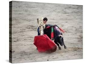 Matador and a Bull in a Bullring, Lima, Peru-null-Stretched Canvas