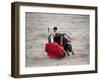 Matador and a Bull in a Bullring, Lima, Peru-null-Framed Photographic Print