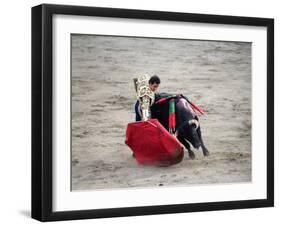 Matador and a Bull in a Bullring, Lima, Peru-null-Framed Photographic Print