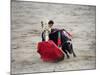 Matador and a Bull in a Bullring, Lima, Peru-null-Mounted Photographic Print