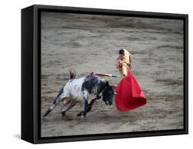 Matador and a Bull in a Bullring, Lima, Peru-null-Framed Stretched Canvas