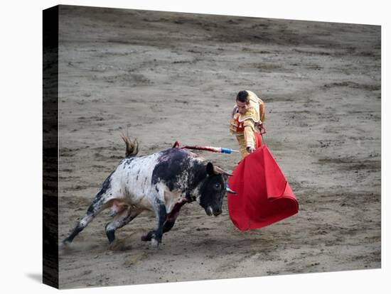 Matador and a Bull in a Bullring, Lima, Peru-null-Stretched Canvas