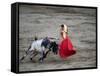 Matador and a Bull in a Bullring, Lima, Peru-null-Framed Stretched Canvas