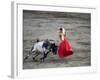 Matador and a Bull in a Bullring, Lima, Peru-null-Framed Photographic Print