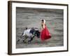 Matador and a Bull in a Bullring, Lima, Peru-null-Framed Photographic Print