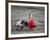 Matador and a Bull in a Bullring, Lima, Peru-null-Framed Photographic Print