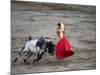 Matador and a Bull in a Bullring, Lima, Peru-null-Mounted Photographic Print