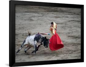 Matador and a Bull in a Bullring, Lima, Peru-null-Framed Photographic Print