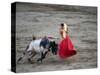 Matador and a Bull in a Bullring, Lima, Peru-null-Stretched Canvas
