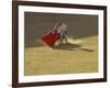 Matador and Bull, Andalucia, Spain-Merrill Images-Framed Photographic Print