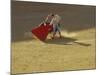 Matador and Bull, Andalucia, Spain-Merrill Images-Mounted Photographic Print