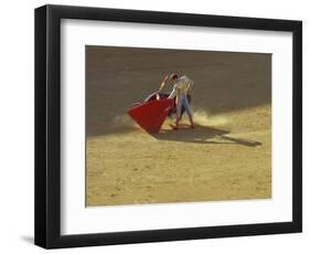 Matador and Bull, Andalucia, Spain-Merrill Images-Framed Photographic Print