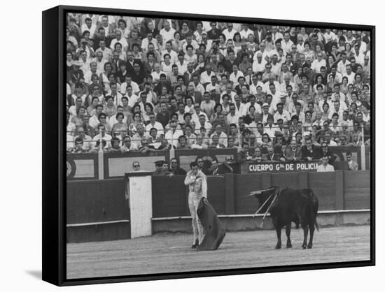 Matador Antonio Ordonez During Bullfight-James Burke-Framed Stretched Canvas