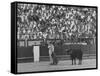 Matador Antonio Ordonez During Bullfight-James Burke-Framed Stretched Canvas