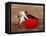 Matador at Monumental El Paso, Bullfight (Fiesta Brava), San Luis Potosi, Mexico-Russell Gordon-Framed Stretched Canvas