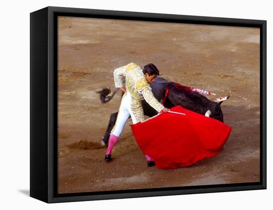 Matador at Monumental El Paso, Bullfight (Fiesta Brava), San Luis Potosi, Mexico-Russell Gordon-Framed Stretched Canvas