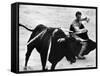 Matador Julian Marin and Bull in the Ring During a Bullfight Celebrating the Fiesta de San Ferman-Tony Linck-Framed Stretched Canvas