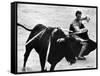 Matador Julian Marin and Bull in the Ring During a Bullfight Celebrating the Fiesta de San Ferman-Tony Linck-Framed Stretched Canvas