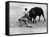 Matador Julian Marin and Bull in the Ring for a Bullfight During the Fiesta de San Ferman-Tony Linck-Framed Stretched Canvas