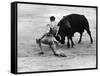 Matador Julian Marin and Bull in the Ring for a Bullfight During the Fiesta de San Ferman-Tony Linck-Framed Stretched Canvas