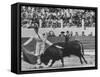 Matador Luis Miguel Dominguin During Bullfight-James Burke-Framed Stretched Canvas