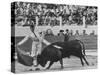 Matador Luis Miguel Dominguin During Bullfight-James Burke-Stretched Canvas