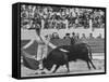 Matador Luis Miguel Dominguin During Bullfight-James Burke-Framed Stretched Canvas