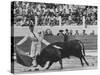 Matador Luis Miguel Dominguin During Bullfight-James Burke-Stretched Canvas