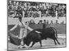 Matador Luis Miguel Dominguin During Bullfight-James Burke-Mounted Premium Photographic Print