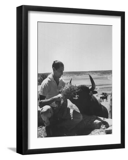 Photographic Print, , large