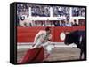 Matador Luis Miguel Dominguin Performing During a Mano a Mano Bullfight at the Bayonne Bullring-James Burke-Framed Stretched Canvas